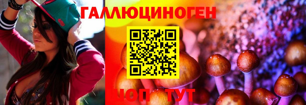 Галлюциногенные грибы прущие грибы  Вход с VPN  Тихорецк 